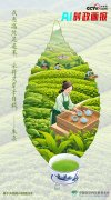 天气适宜、茶资较着